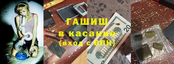 прущие грибы Богородицк